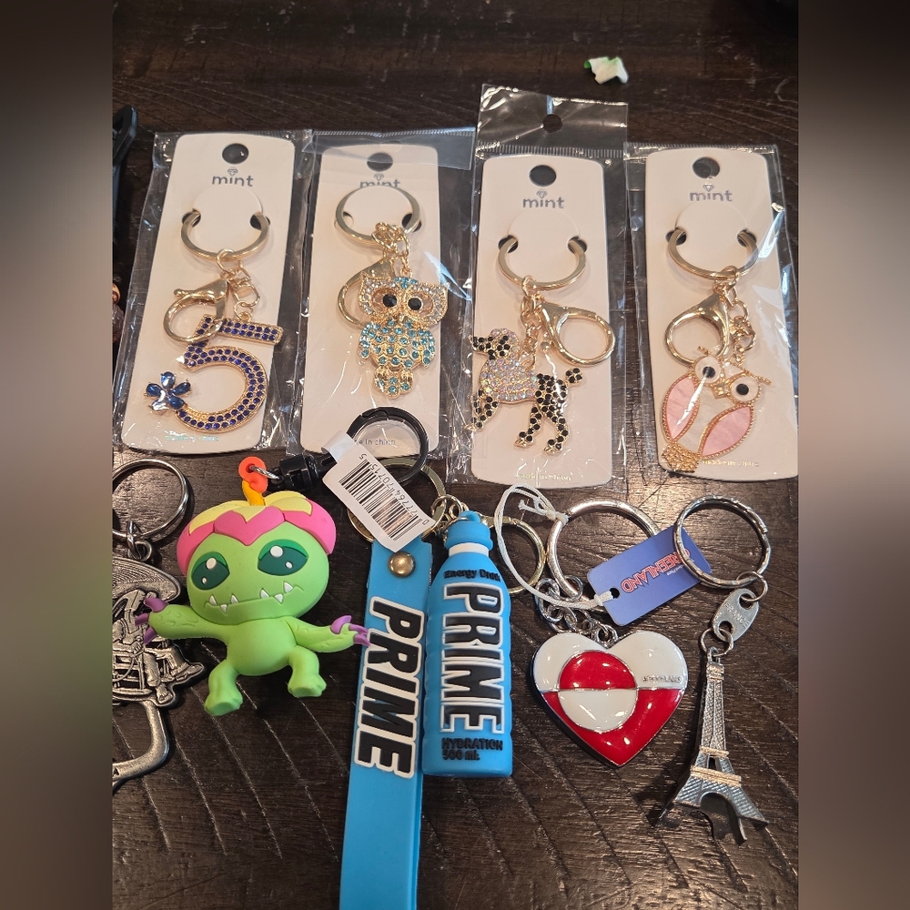 Assortment Of Keychains - Picture 3 of 4